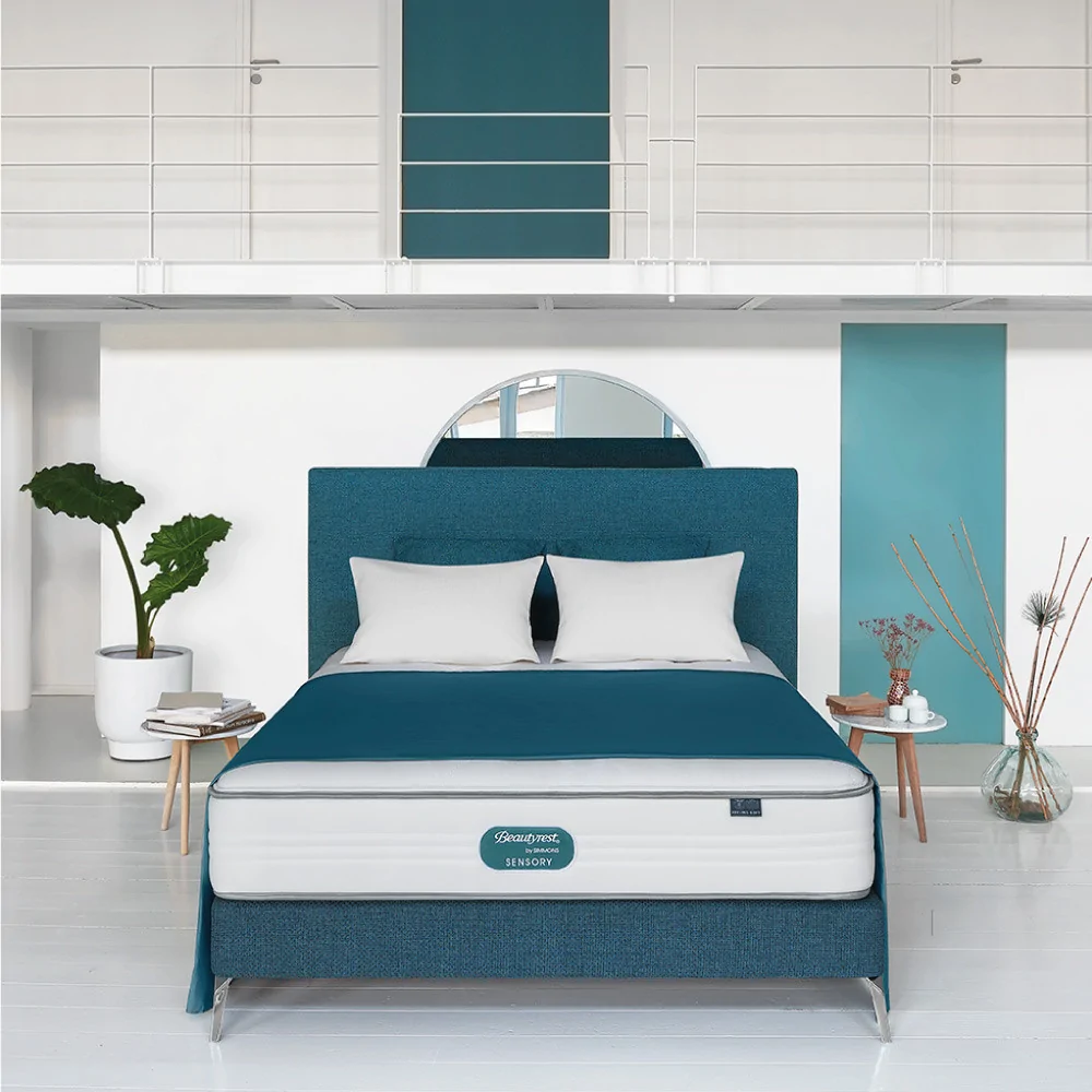 Simmons beautyrest store evolution mattress