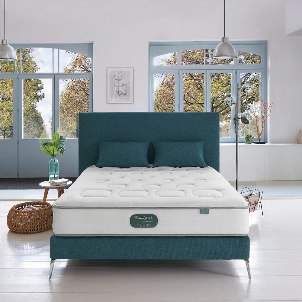 Beautyrest evolution deals mattress